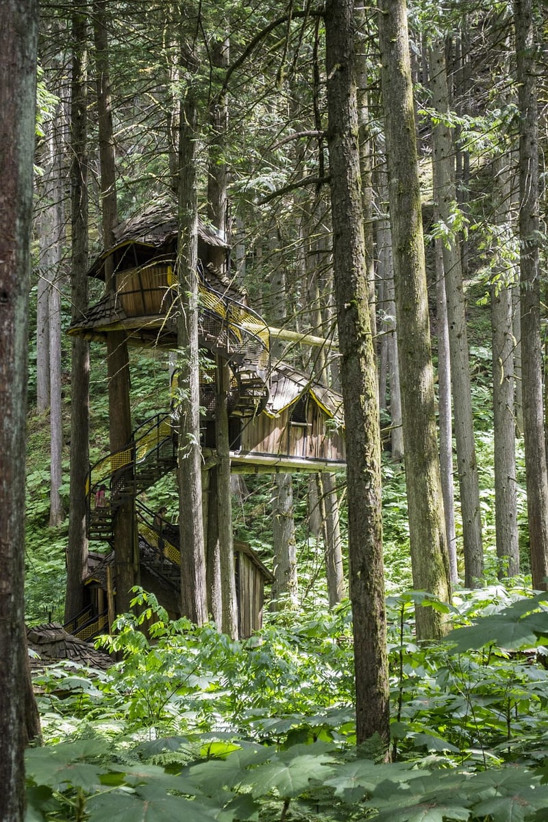 Sustainable adventures