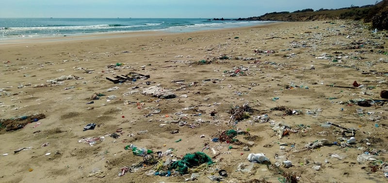 Beach Cleanup